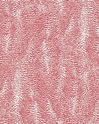 Drizzle Rouge by  Schumacher Wallpaper 