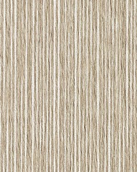 Corded Stripe Natural by   