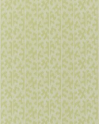 Montpellier Lime Blossom by  Schumacher Wallpaper 