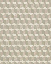 Legno Birch by  Schumacher Wallpaper 