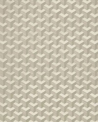 Angolo Birch by  Schumacher Wallpaper 