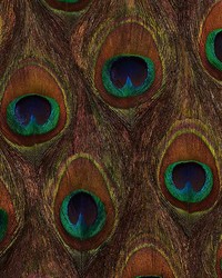 Peacock Ore Peacock by  Schumacher Wallpaper 