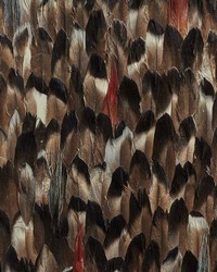 Averlite Black Smoke by  Schumacher Wallpaper 