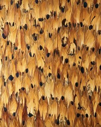 Aventurine Tulip Yellow by  Schumacher Wallpaper 