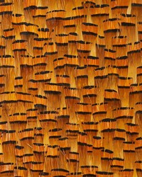 Bauxite Goldenrod by  Schumacher Wallpaper 