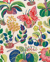 Exotic Butterfly Spring by  Schumacher Wallpaper 