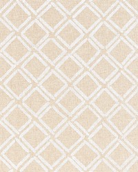 Dina Paperweave Natural by   