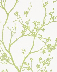Twiggy Paperweave Leaf by  Schumacher Wallpaper 