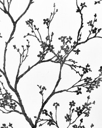 Twiggy Paperweave Black by  Schumacher Wallpaper 