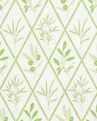 Endimione Leaf by  Schumacher Wallpaper 