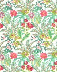 ABELIA 214 TROPIQUE by   