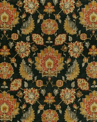 Andora 949 Cindersmoke by  Covington 