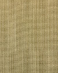 Aurora 114 Seashell by  Covington 