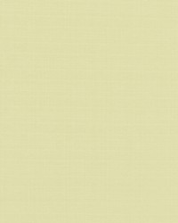 Aurora 134 French Vanilla by  Covington 