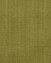 Aurora 201 Green Tea by  Covington 