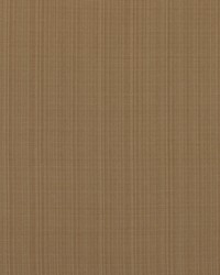 Aurora 427 Heather Moon by  Covington 