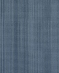 Aurora 557 Dark Denim by  Covington 