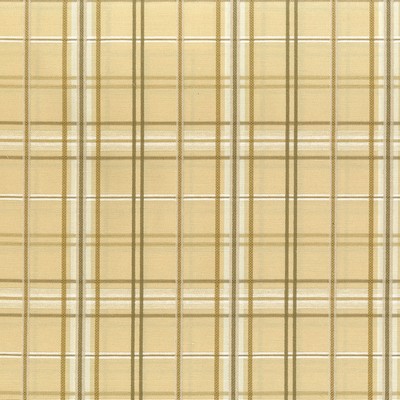 Bailey 101 Natural Beige COTTON/47%  Blend Fire Rated Fabric Plaid and Tartan  Fabric