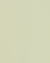 BASKETRY 101 ANTIQUE WHITE by   