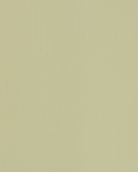 BASKETRY 11  NATURAL by   