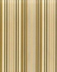 Brady 101 Natural by  Covington 