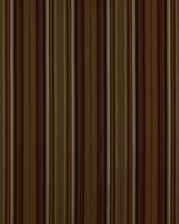 Brady 239 Cornucopa by  Covington 