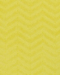 Bronx 284 Citrus by  Covington 