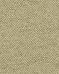 Brooke 13 Raffia by  Covington 