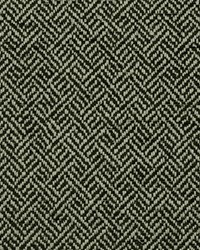 Brooke 916 Ebony Ivory by  Covington 