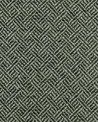 Brooke 920 Heather Grey by  Covington 