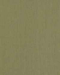 BRUSSELS 02  DESIZED by   