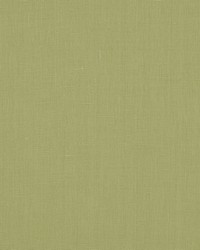 Brussels 201 Green Tea by   