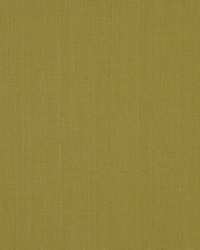 Brussels 244 Acid Green by   