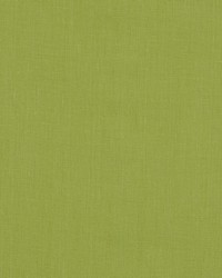 Brussels 281 Verbena by   