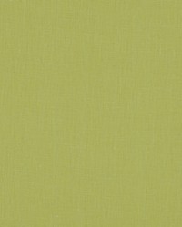 Brussels 282 Lime by   