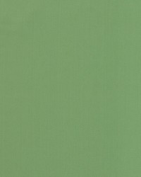 BRUSSELS 29  SEAFOAM by   