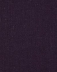 Brussels 441 Eggplant by   