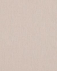 Brussels 73 Petal by   