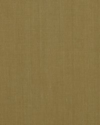 Brussels 881 Vintage Gold by   