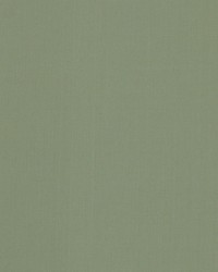 BRUSSELS 95  DOLPHIN by   