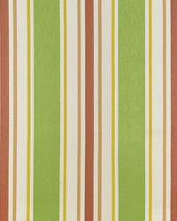 Sd-cayman 214 Tropique by  Covington 