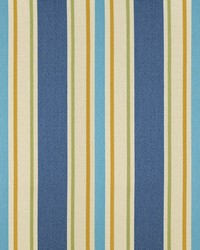 Sd-cayman 505 Cobalt by  Covington 