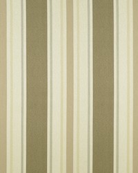 Sd-cayman 69 Driftwood by  Covington 