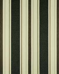 Sd-cayman 922 Granite by  Covington 