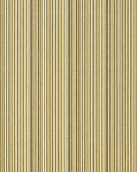 Chase 1 Honey Beige by  Covington 