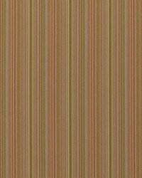 Chase 258 Sorbet by  Covington 