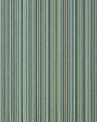 Chase 542 Caribe by  Covington 