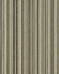 Chase 949 Cindersmoke by  Covington 