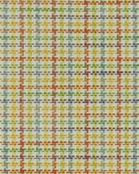 Chatham Plaid 11 Multi by  Covington 