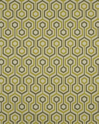 Connexion 25 Olive by  Covington 